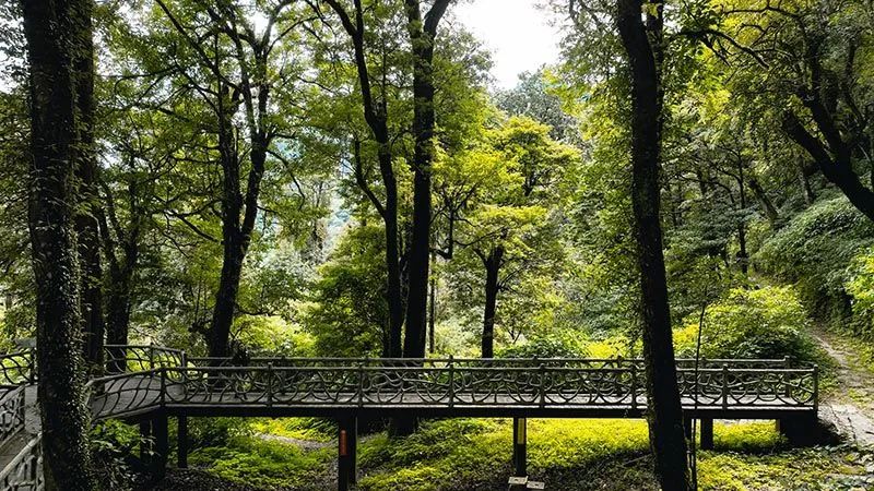 怒江活動策劃：有一種生活叫云南的怒江丨一起去姚家坪，上一堂自然課